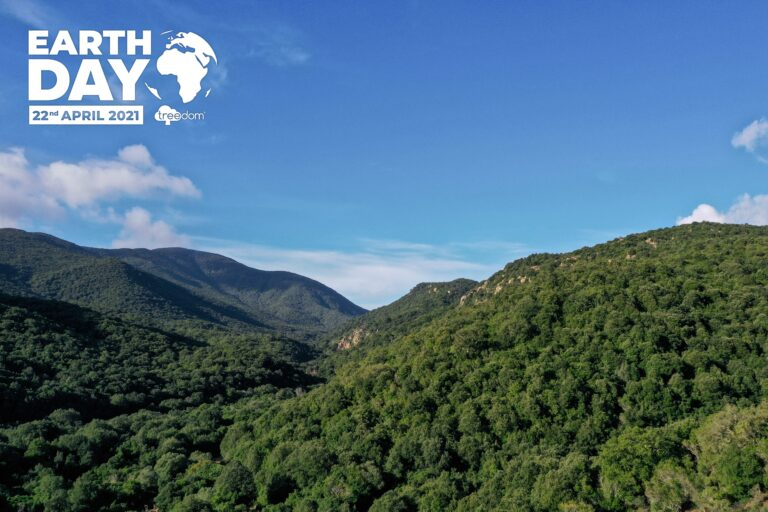 Ipsen S.p.A. supporta l’Earth Day: pianta una foresta in Kenya e dona un albero ad ogni collaboratore