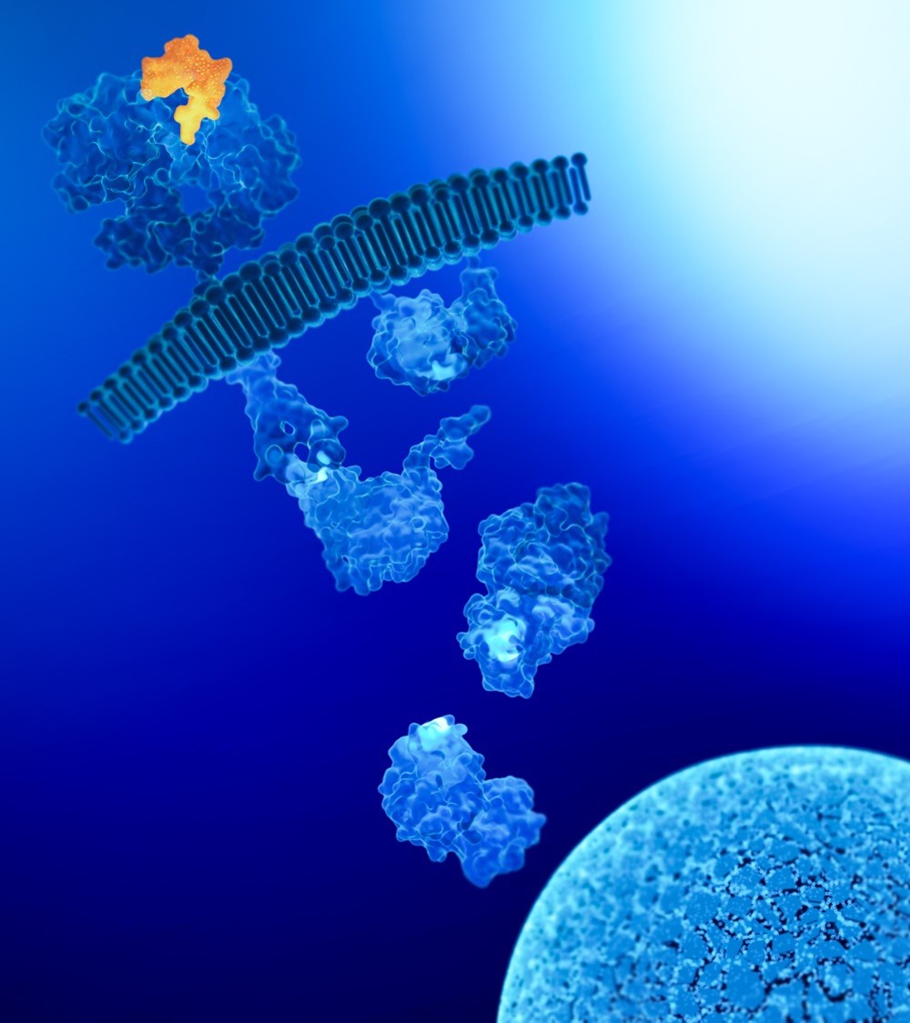 Ipsen’s science in MAPK