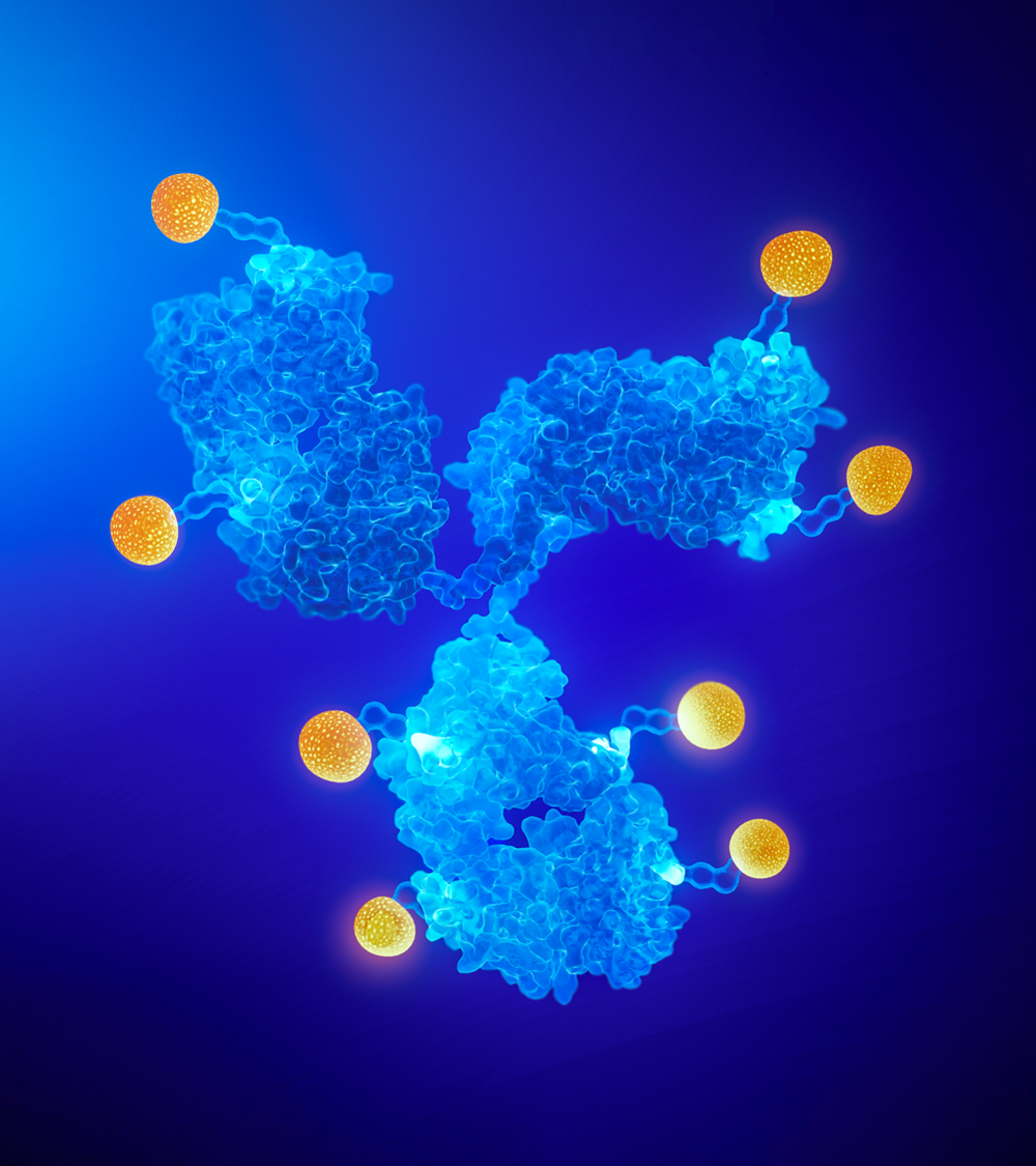 Ipsen’s science in ADCs