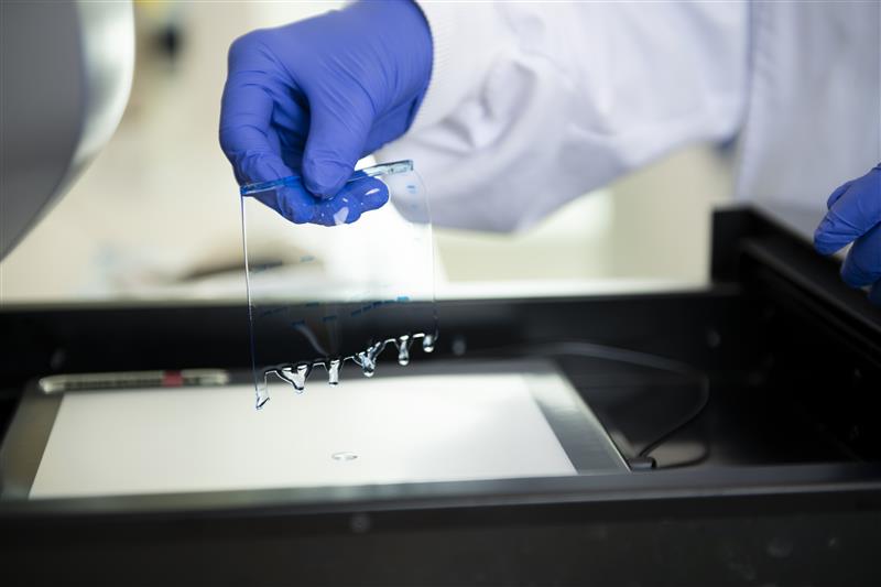 QUELS ACTIFS SONT EN DEVELOPPEMENT EN NEUROSCIENCES