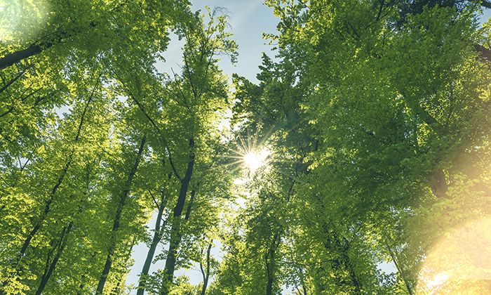 Our commitment to sustainability