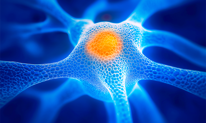 Uncovering the science of fatigue in PBC