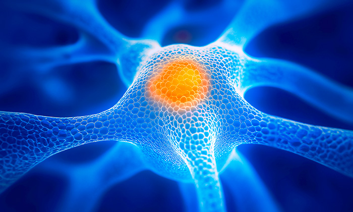 Neuroscience