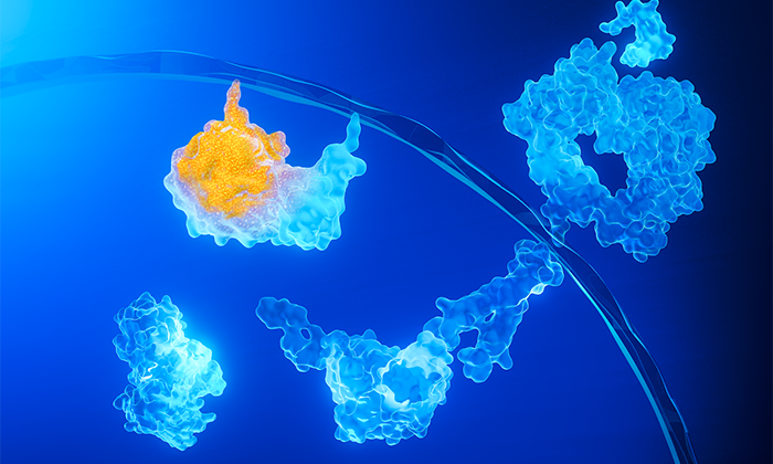 La science d’Ipsen dans la voie MAPK 