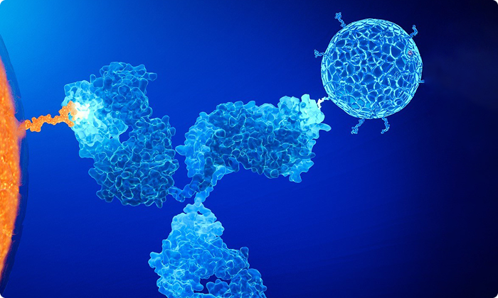 Ipsen’s science in TCEs