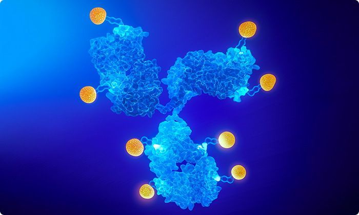 Ipsen’s science in ADCs