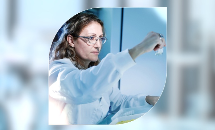 2024: a year of accelerated momentum and growth