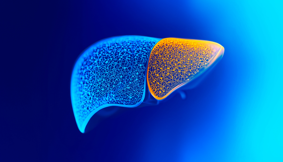 Ipsen at The Liver Meeting 2025