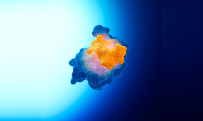 Ipsen’s science in MDM2 inhibition